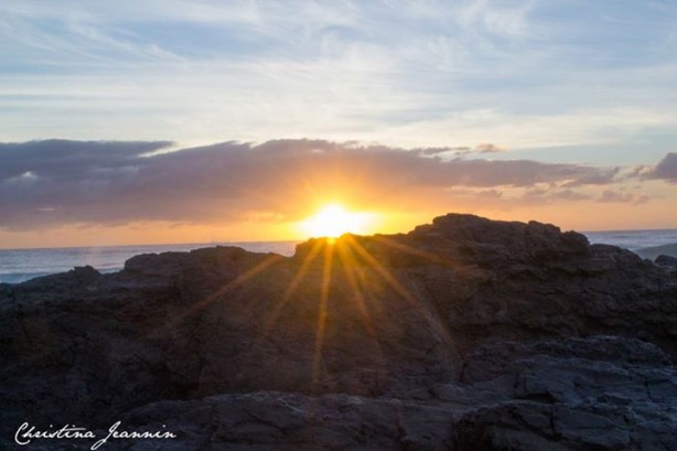 Currumbin Rays