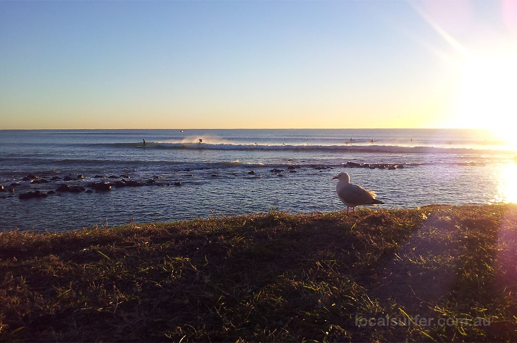 6:55 - Admiring a nice morning