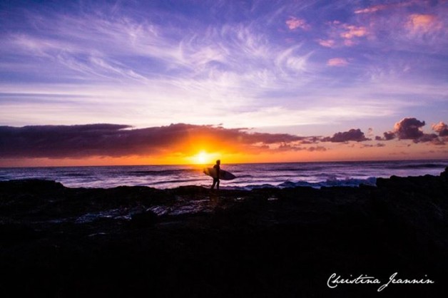 Currumbin Rays